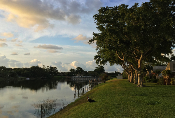 2018-04-01 07.37.28 HDR_enh